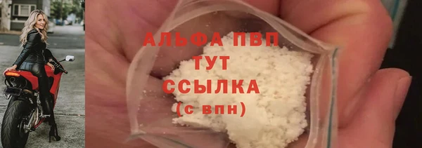 спиды Аркадак