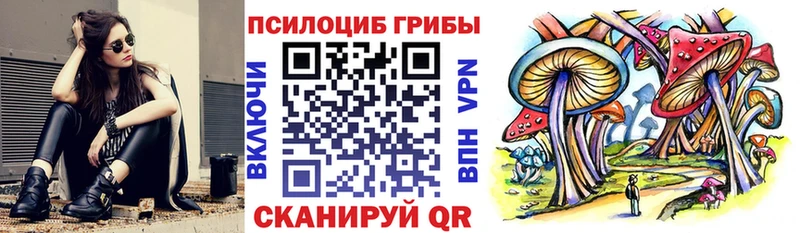 Псилоцибиновые грибы Magic Shrooms  даркнет сайт  Красный Холм 